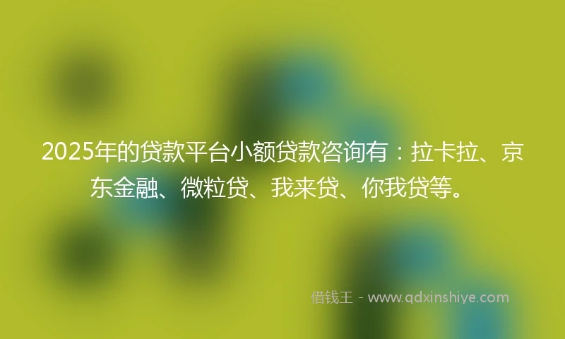 2025年的贷款平台小额贷款咨询有：拉卡拉、京东金融、微粒贷、我来贷、你我贷等。