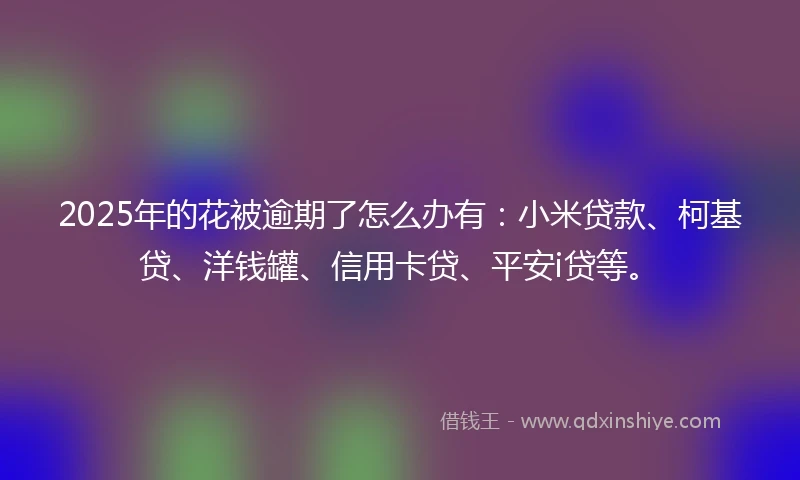 2025年的花被逾期了怎么办有：小米贷款、柯基贷、洋钱罐、信用卡贷、平安i贷等。