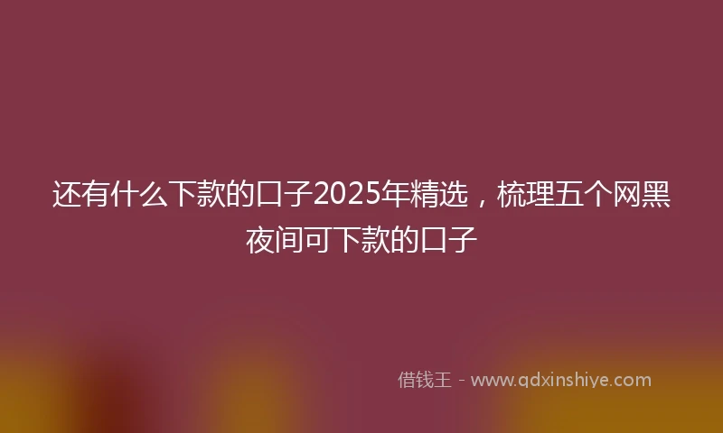 还有什么下款的口子2025年精选，梳理五个网黑夜间可下款的口子