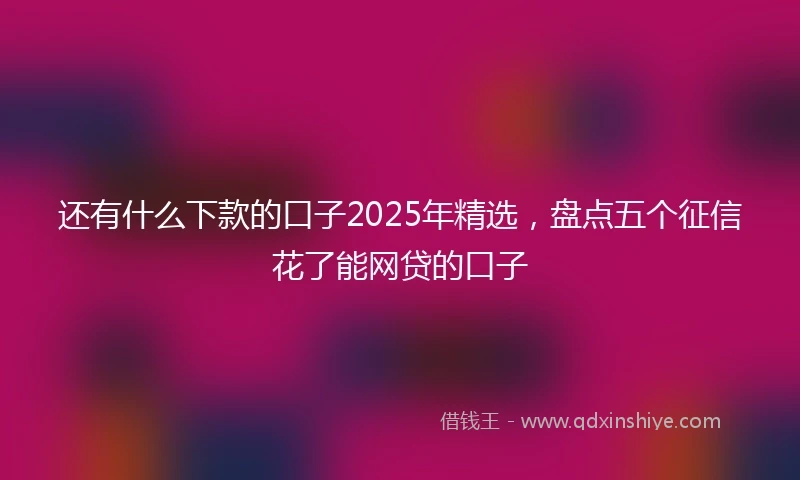 还有什么下款的口子2025年精选，盘点五个征信花了能网贷的口子