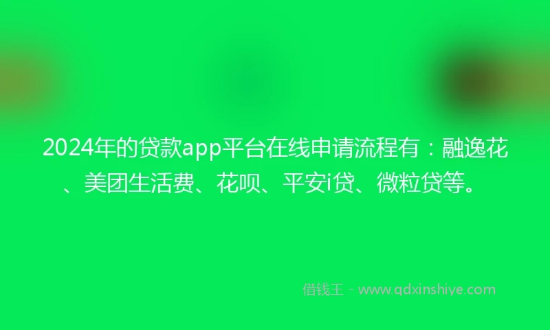 2024年的贷款app平台在线申请流程有：融逸花、美团生活费、花呗、平安i贷、微粒贷等。