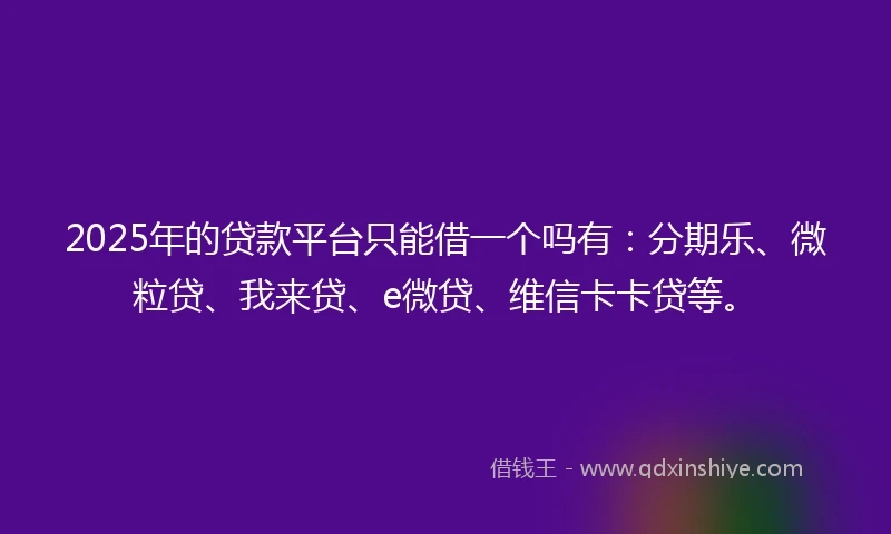 2025年的贷款平台只能借一个吗有：分期乐、微粒贷、我来贷、e微贷、维信卡卡贷等。