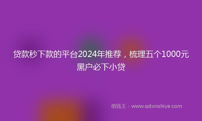贷款秒下款的平台2024年推荐，梳理五个1000元黑户必下小贷