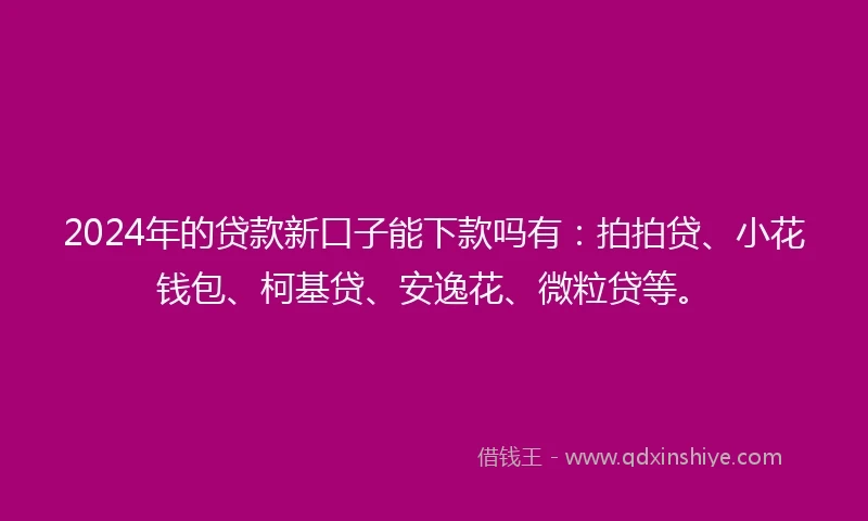 2024年的贷款新口子能下款吗有：拍拍贷、小花钱包、柯基贷、安逸花、微粒贷等。