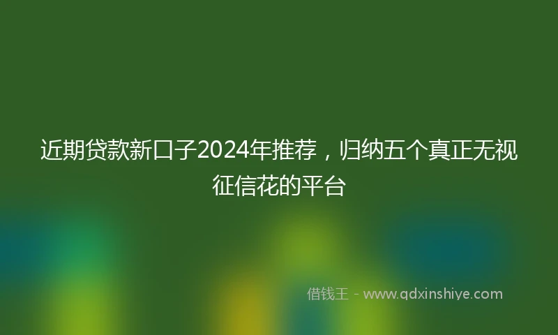 近期贷款新口子2024年推荐，归纳五个真正无视征信花的平台