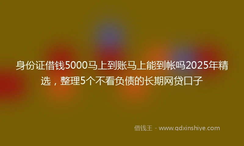 身份证借钱5000马上到账马上能到帐吗2025年精选，整理5个不看负债的长期网贷口子