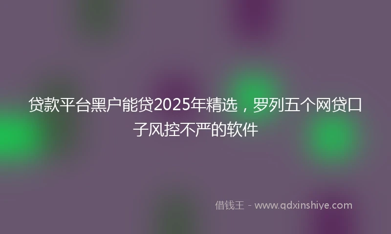 贷款平台黑户能贷2025年精选，罗列五个网贷口子风控不严的软件