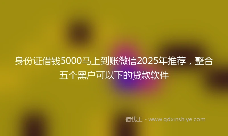身份证借钱5000马上到账微信2025年推荐，整合五个黑户可以下的贷款软件
