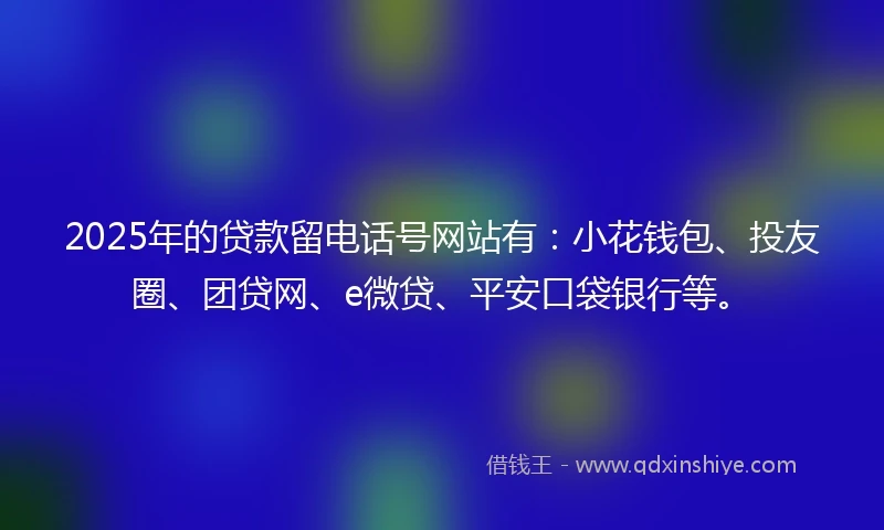 2025年的贷款留电话号网站有：小花钱包、投友圈、团贷网、e微贷、平安口袋银行等。