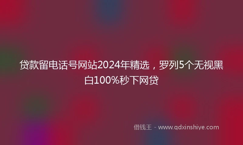 贷款留电话号网站2024年精选，罗列5个无视黑白100%秒下网贷