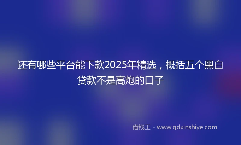 还有哪些平台能下款2025年精选，概括五个黑白贷款不是高炮的口子
