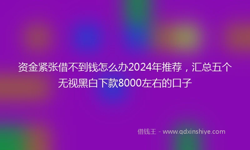 资金紧张借不到钱怎么办2024年推荐，汇总五个无视黑白下款8000左右的口子