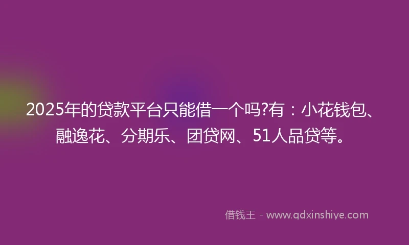 2025年的贷款平台只能借一个吗?有：小花钱包、融逸花、分期乐、团贷网、51人品贷等。