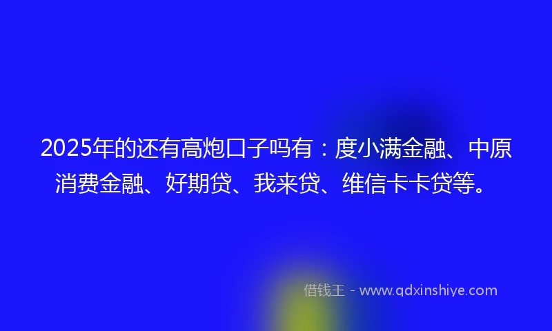 2025年的还有高炮口子吗有：度小满金融、中原消费金融、好期贷、我来贷、维信卡卡贷等。