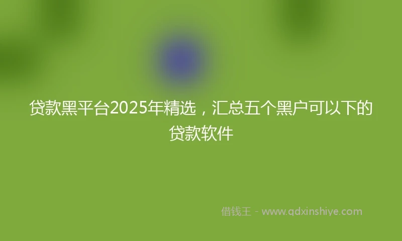 贷款黑平台2025年精选，汇总五个黑户可以下的贷款软件