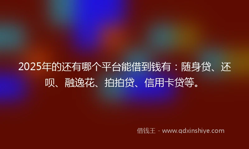 2025年的还有哪个平台能借到钱有：随身贷、还呗、融逸花、拍拍贷、信用卡贷等。