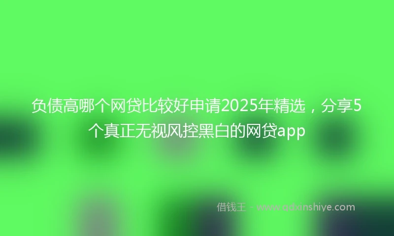 负债高哪个网贷比较好申请2025年精选，分享5个真正无视风控黑白的网贷app