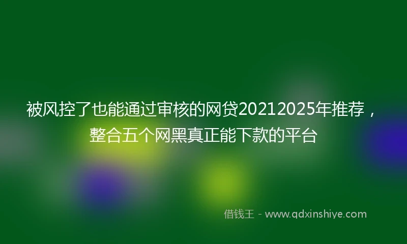 被风控了也能通过审核的网贷20212025年推荐，整合五个网黑真正能下款的平台
