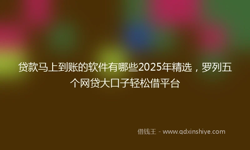 贷款马上到账的软件有哪些2025年精选，罗列五个网贷大口子轻松借平台