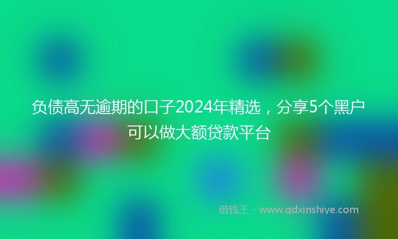 负债高无逾期的口子2024年精选，分享5个黑户可以做大额贷款平台