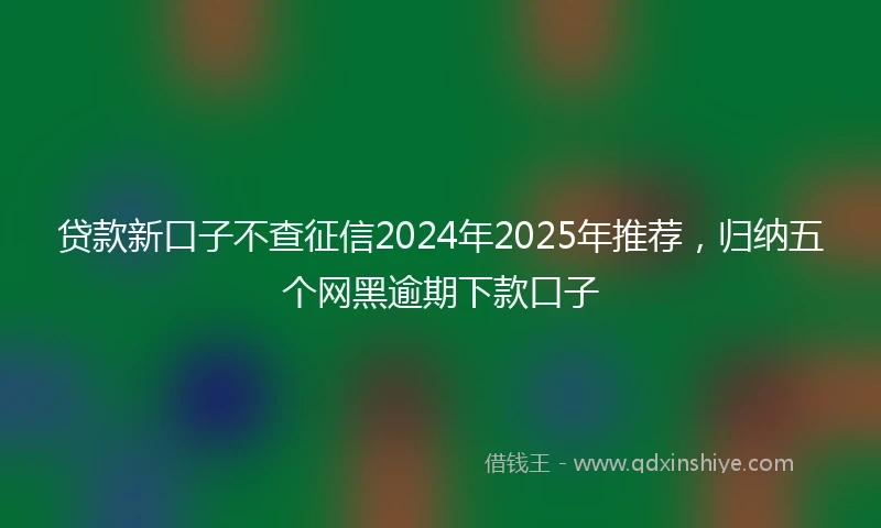 贷款新口子不查征信2024年2025年推荐,归纳五个网黑逾期下款口子