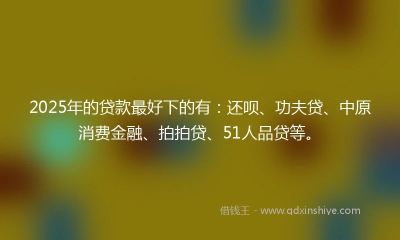 2025年的贷款最好下的有：还呗、功夫贷、中原消费金融、拍拍贷、51人品贷等。