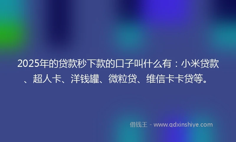 2025年的贷款秒下款的口子叫什么有：小米贷款、超人卡、洋钱罐、微粒贷、维信卡卡贷等。