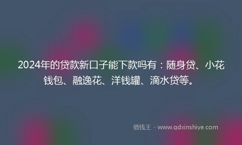 2024年的贷款新口子能下款吗有：随身贷、小花钱包、融逸花、洋钱罐、滴水贷等。