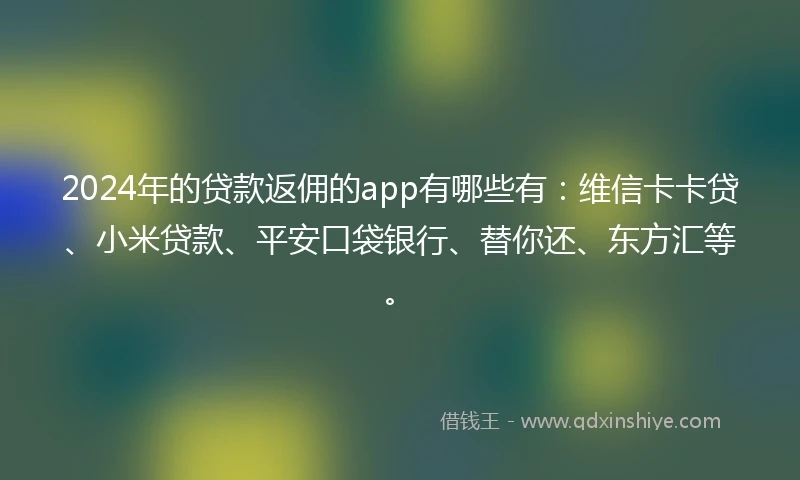 2024年的贷款返佣的app有哪些有：维信卡卡贷、小米贷款、平安口袋银行、替你还、东方汇等。