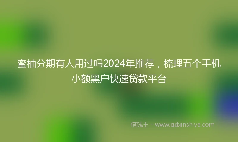 蜜柚分期有人用过吗2024年推荐，梳理五个手机小额黑户快速贷款平台