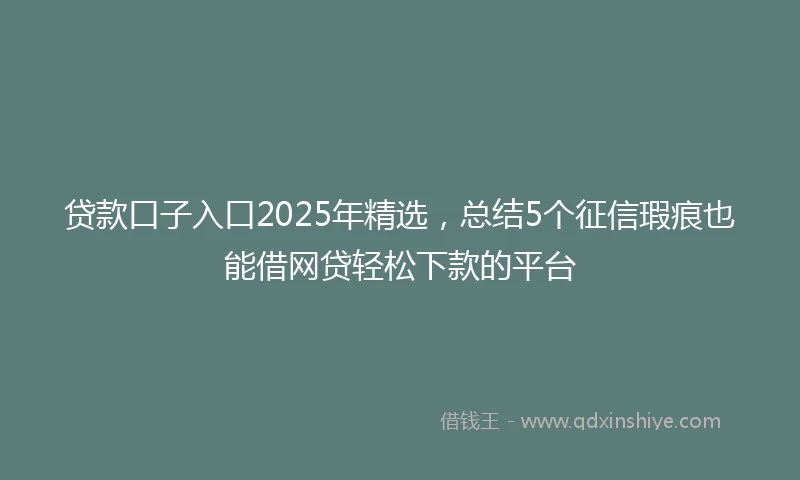 贷款口子入口2025年精选，总结5个征信瑕疵也能借网贷轻松下款的平台