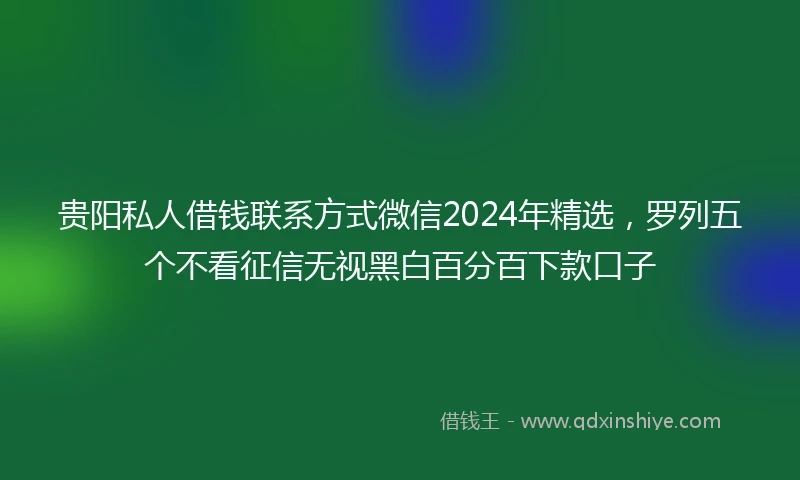 贵阳私人借钱联系方式微信2024年精选，罗列五个不看征信无视黑白百分百下款口子