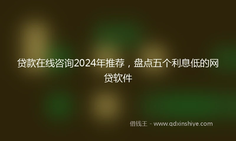贷款在线咨询2024年推荐，盘点五个利息低的网贷软件