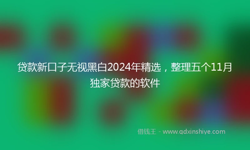 贷款新口子无视黑白2024年精选，整理五个11月独家贷款的软件