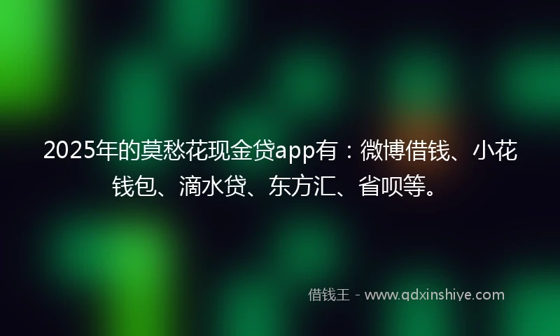 2025年的莫愁花现金贷app有：微博借钱、小花钱包、滴水贷、东方汇、省呗等。
