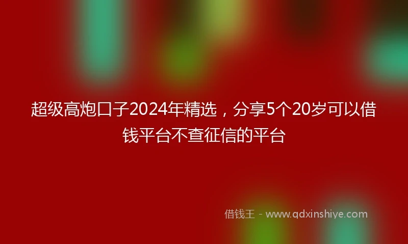 超级高炮口子2024年精选，分享5个20岁可以借钱平台不查征信的平台