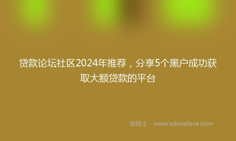 贷款论坛社区2024年推荐，分享5个黑户成功获取大额贷款的平台
