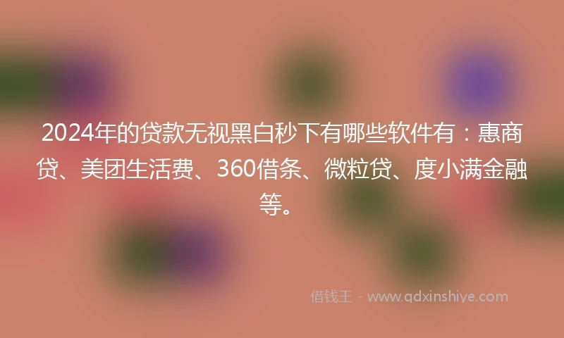 2024年的贷款无视黑白秒下有哪些软件有：惠商贷、美团生活费、360借条、微粒贷、度小满金融等。