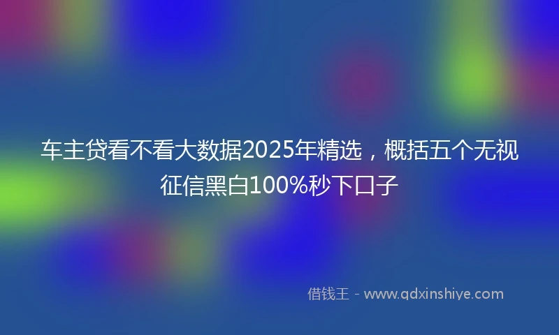 车主贷看不看大数据2025年精选，概括五个无视征信黑白100%秒下口子
