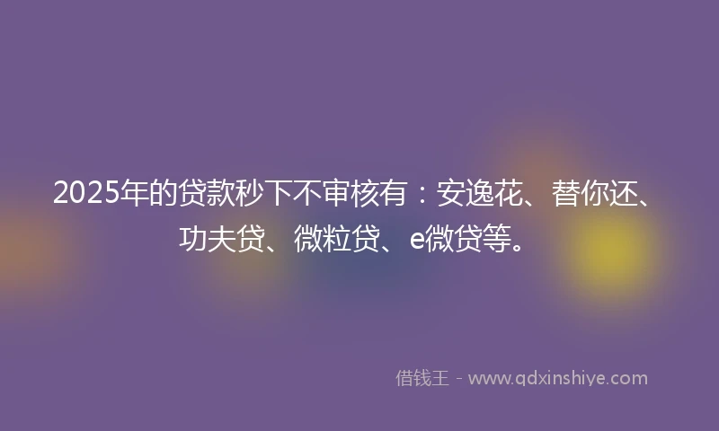2025年的贷款秒下不审核有：安逸花、替你还、功夫贷、微粒贷、e微贷等。