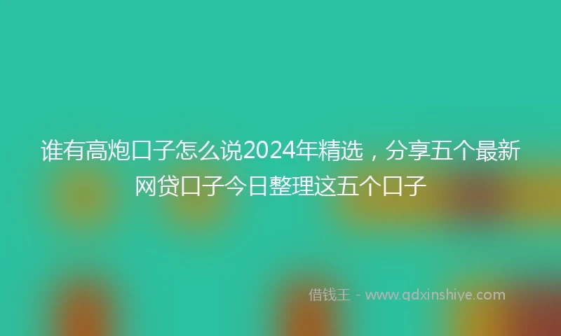 谁有高炮口子怎么说2024年精选，分享五个最新网贷口子今日整理这五个口子