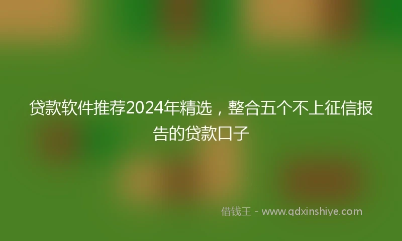 贷款软件推荐2024年精选，整合五个不上征信报告的贷款口子