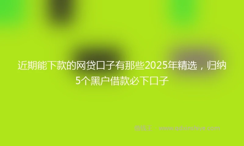 近期能下款的网贷口子有那些2025年精选，归纳5个黑户借款必下口子