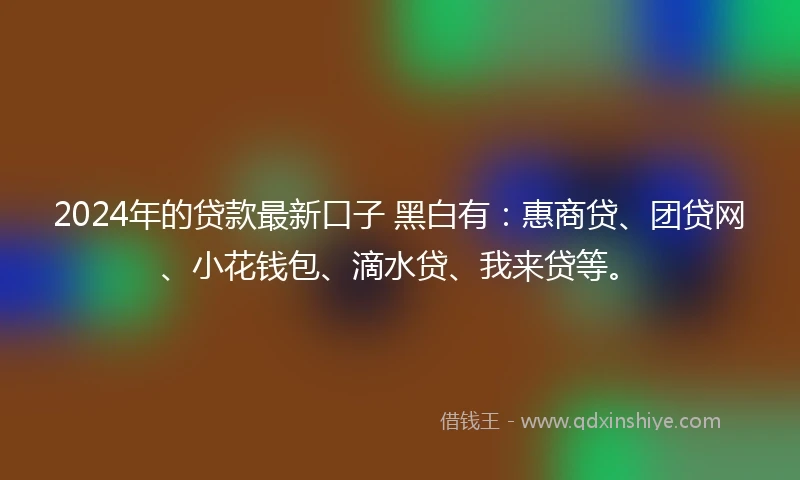 2024年的贷款最新口子 黑白有：惠商贷、团贷网、小花钱包、滴水贷、我来贷等。