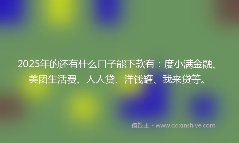 2025年的还有什么口子能下款有：度小满金融、美团生活费、人人贷、洋钱罐、我来贷等。