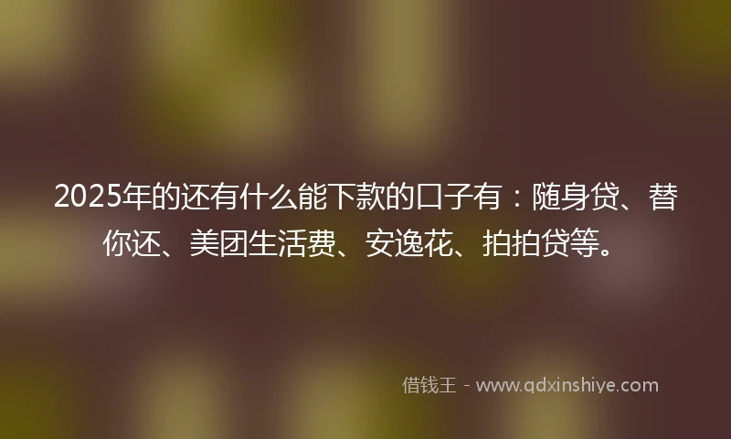2025年的还有什么能下款的口子有：随身贷、替你还、美团生活费、安逸花、拍拍贷等。
