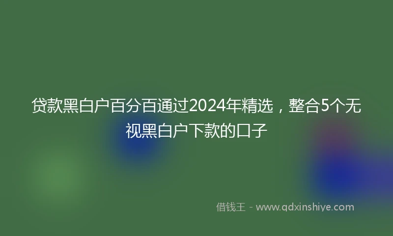 贷款黑白户百分百通过2024年精选,整合5个无视黑白户下款的口子