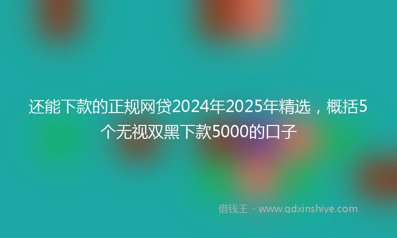 还能下款的正规网贷2024年2025年精选，概括5个无视双黑下款5000的口子
