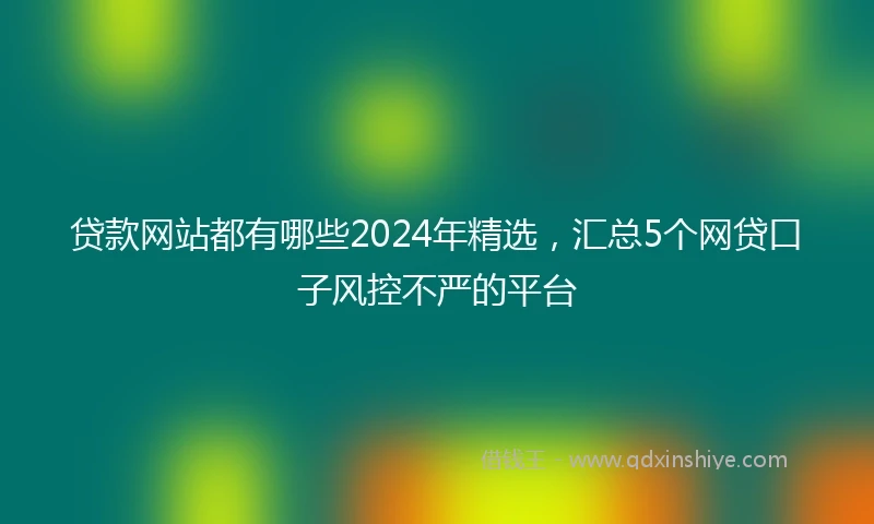 贷款网站都有哪些2024年精选，汇总5个网贷口子风控不严的平台