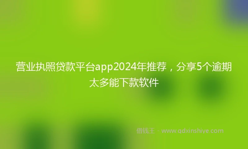 营业执照贷款平台app2024年推荐，分享5个逾期太多能下款软件
